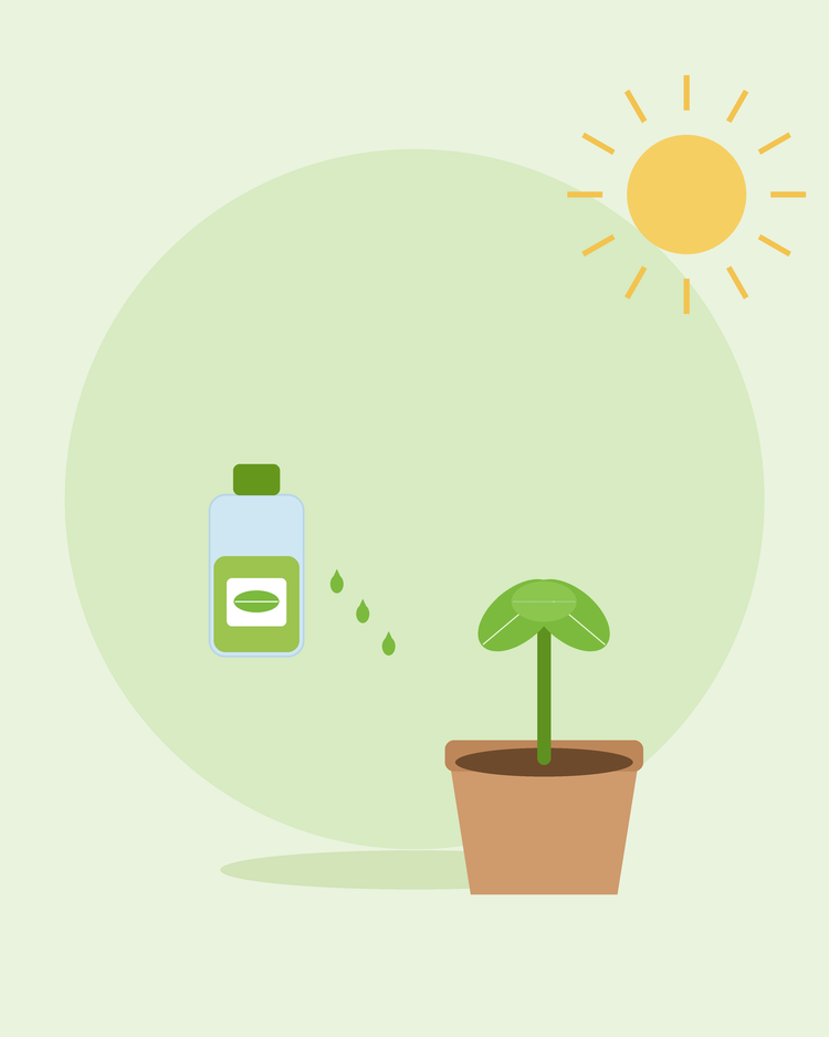 Illustrazzjoni ċatta ta' flixkun fertilizzant b'qtar ħdejn tifla f'vażett — it-tmigħ u l-fertilizzar tal-pjanti, minn SeedsChoice