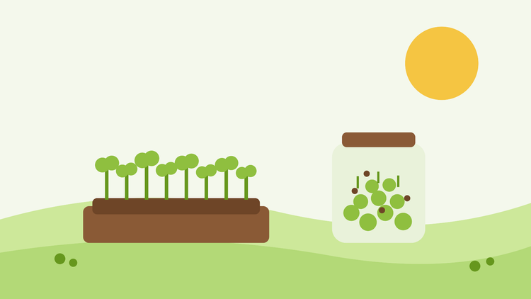 Come coltivare microgreens e germogli — illustrazione piatta di un vassoio di microgreens e un barattolo di germogli sul davanzale di una finestra
