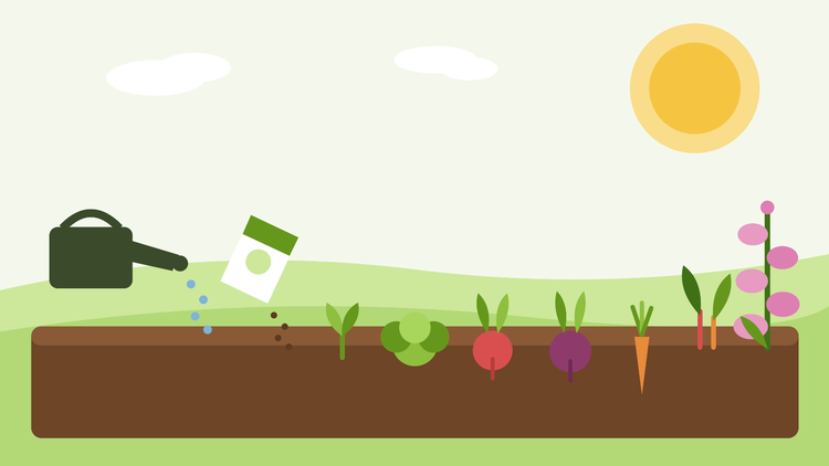 Qué sembrar en julio — ilustración plana de un bancal de verano sembrado con ensaladas, raíces de otoño y dedaleras bienales, de SeedsChoice