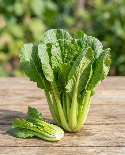 Turnip Greens Namenia (Brassica rapa) – luomuvuosivihanneksen siemenet SeedsChoice-verkkokaupasta