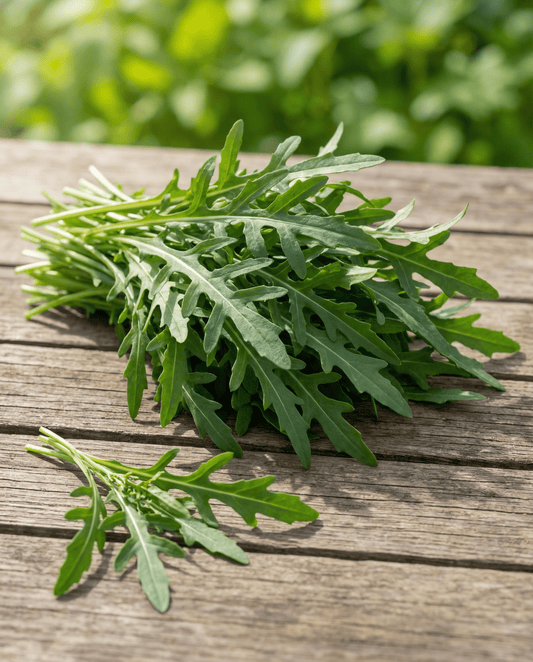 Roquette sauvage à feuilles (Diplotaxis tenuifolia) – graines de légumes bio de SeedsChoice