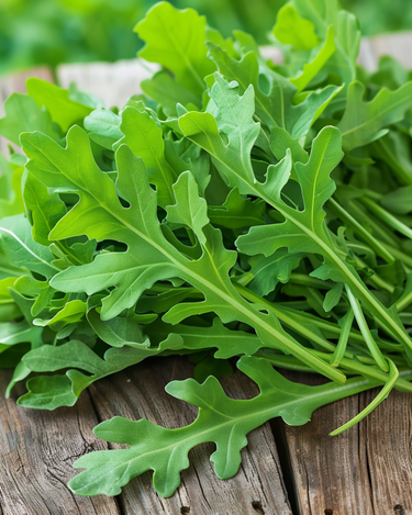 Rucola-Samen (Eruca sativa) – Bio-Saatgut, einjähriges Gemüse