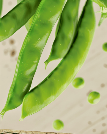 Zuckererbse Norli Samen (Pisum sativum) – Bio-Gemüse einjährig