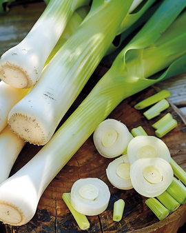 Leek Seeds Winterreuzen 3 Allium Porrum Annual Variety