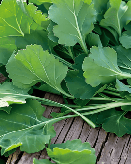 Nasiona liści rzepy Brassica Rapa jednoroczna