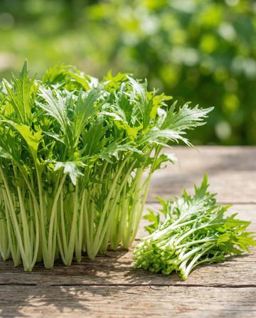Mizuna Microgreens (Brassica rapa) – etårige microgreens-frø fra SeedsChoice