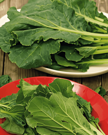 Semillas de Komatsuna espinaca mostaza (Brassica rapa) – hortaliza