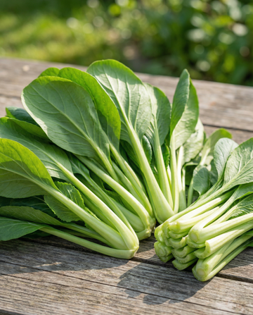 Komatsuna espinaca mostaza (Brassica rapa) – semillas de hortaliza de SeedsChoice