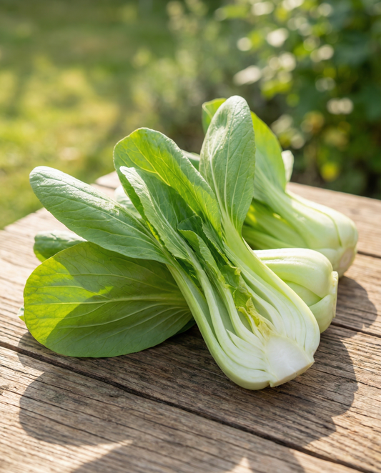 Pak Choi (Brassica chinensis) – yksivuotiset vihannessiemenet – SeedsChoice