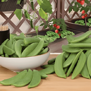 Zuckererbse Delikett Samen (Pisum sativum) – einjähriges Gemüse
