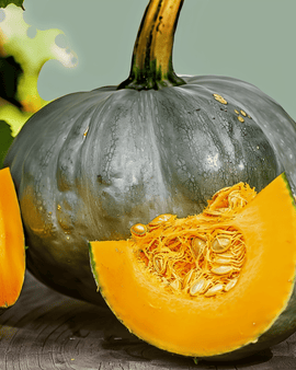 Pumpkin Berrettina Seeds Cucurbita Maxima Annual Variety