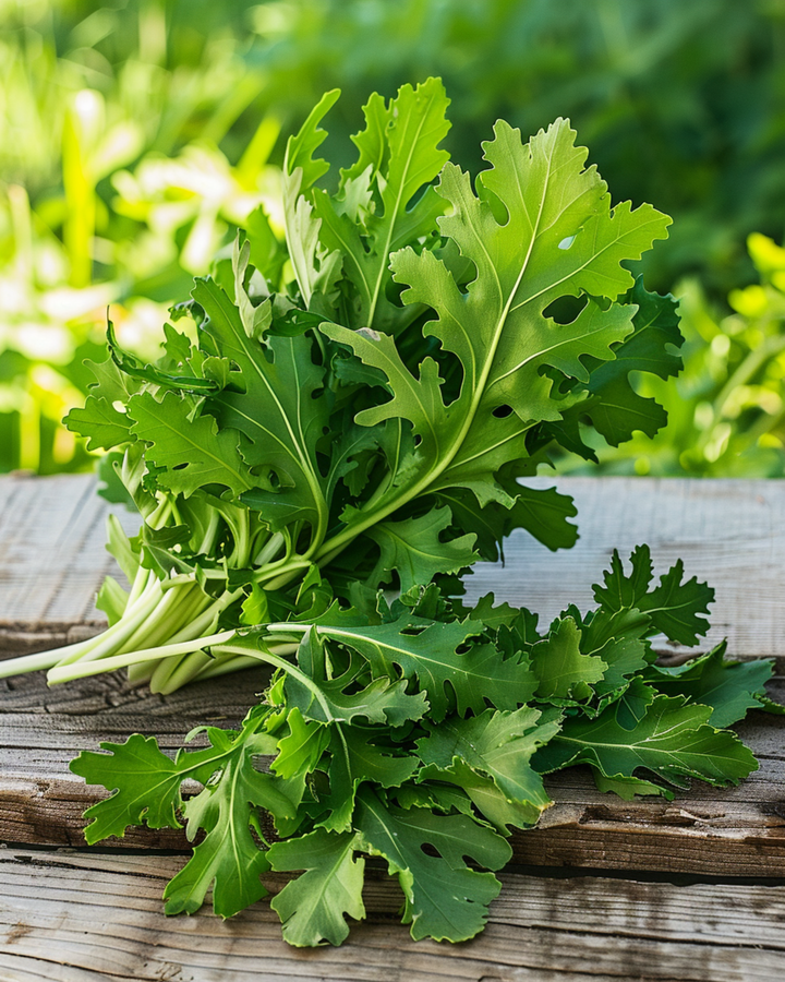 Graines de roquette sauvage (Diplotaxis tenuifolia) – légume vivace