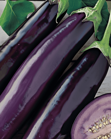 Aubergine Violetta Lunga Medium Early zaden (Solanum melongena) – groente