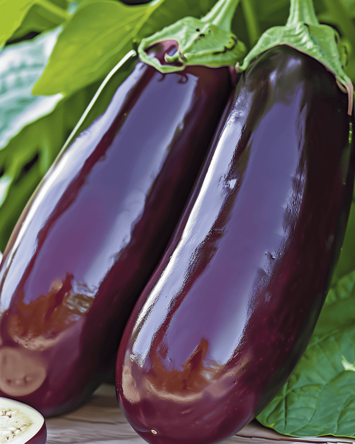 Eggplant Violetta Lunga 2 Long Purple seeds (Solanum melongena) – annual vegetable