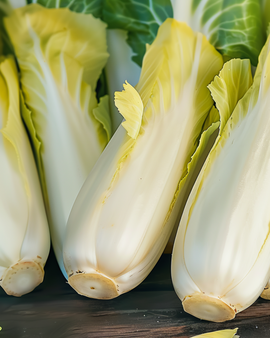 Chicory Seeds Zoom F1 Cichorium Intybus Biennial Vegetable Witloof