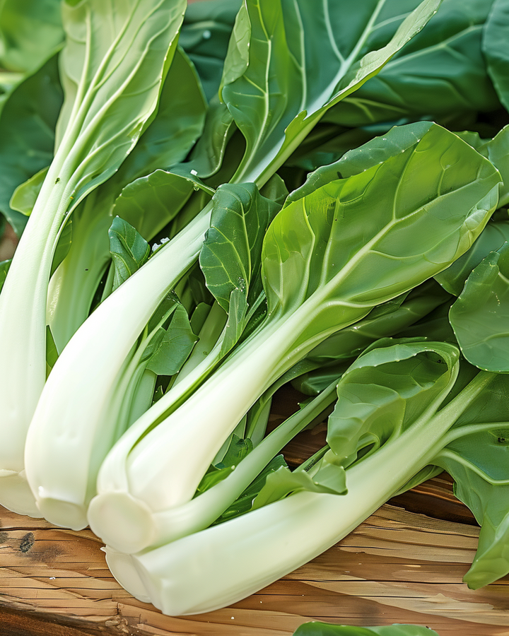 Semillas de pak choy japonés Taisai (Brassica campestris) – anual