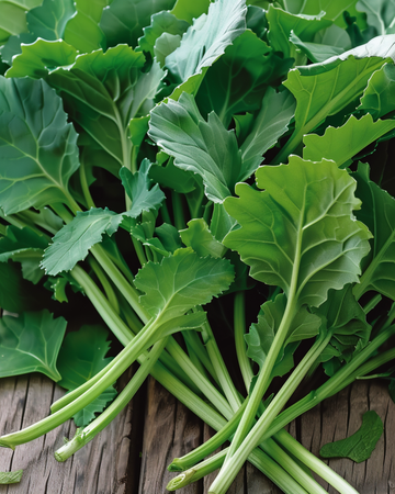 Rübstiel Samen (Brassica rapa) – einjähriges Gemüse
