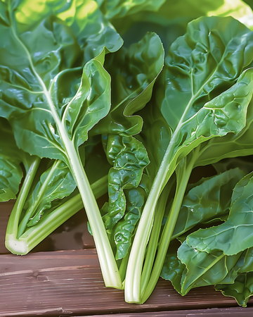 Semillas de acelga Common Green (Beta vulgaris) – vegetal anual