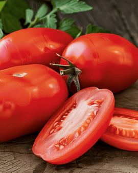 Tomat Roma Vf frø Solanum lycopersicum enårig sort