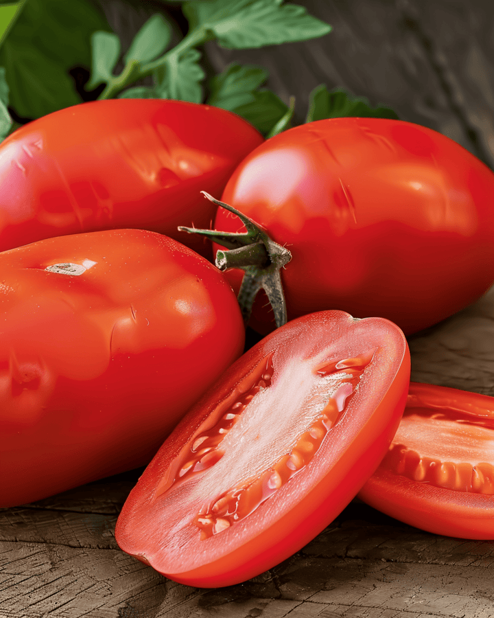 Tomatfrön Roma VF (Solanum lycopersicum) – ettårig grönsak