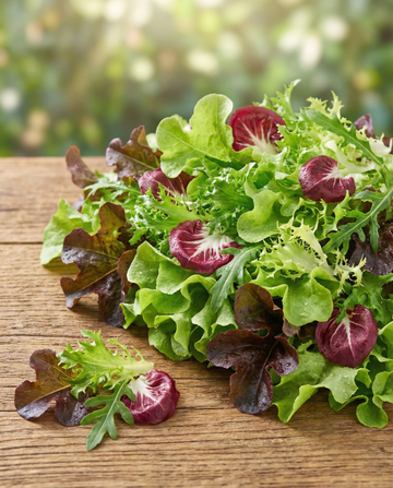 Semi per insalata francese Mesclun – mix biologico annuale