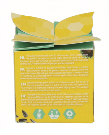 Semillas regalo de girasol enano – kit de cultivo anual de SeedsChoice