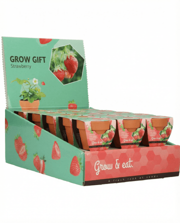 Fragaria × ananassa – Morango suspenso cultivado a partir de semente