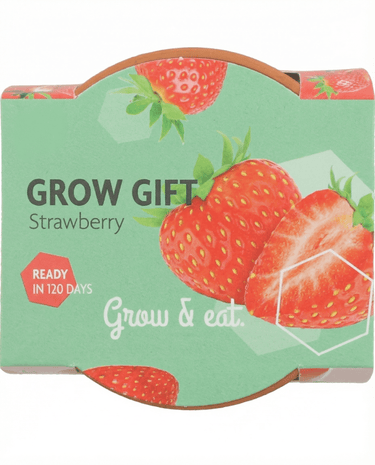 Graines de fraisier à suspendre (Fragaria × ananassa) – vivace