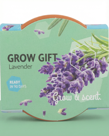 Lavendel-Samen – mehrjähriges Anzucht-Set von SeedsChoice