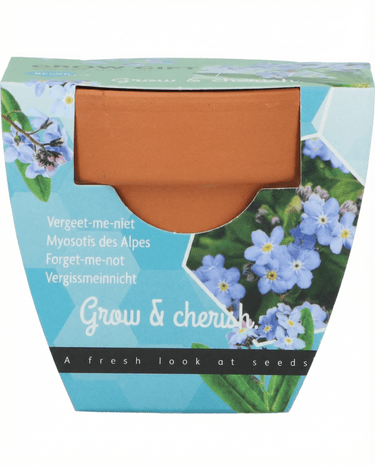Förgätmigejfrön (Myosotis alpestris) – odlingskit
