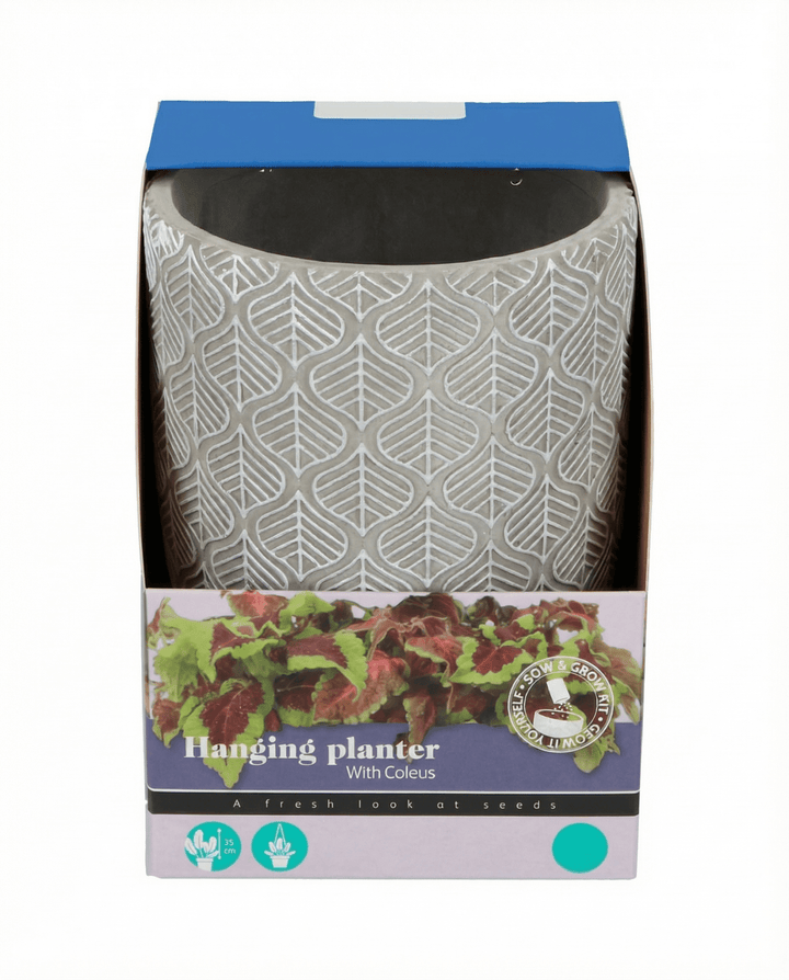 Hanging Planter seeds (Coleus blumei) – grow kit