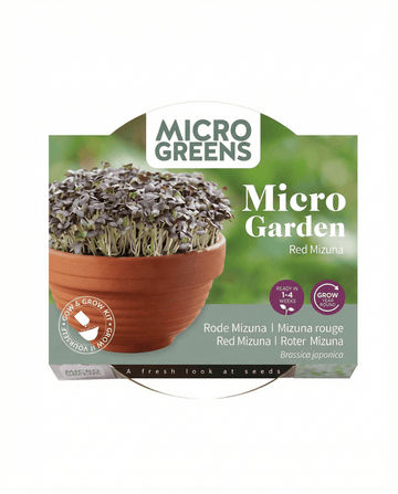 Red Mizuna Microgreens Terracotta Vegetables siemenet – kasvatuspakkaus SeedsChoicelta