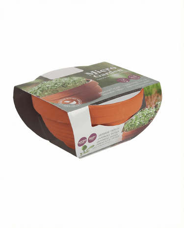 Sementes de Tatsoi Microgreens em Prato de Terracota (Brassica narinosa) – kit de cultivo