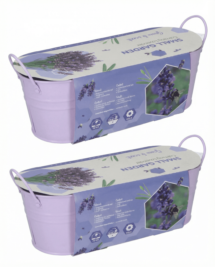 Lavender seeds (Lavandula angustifolia) – perennial grow kit