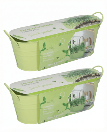 Żerriegħa tal-Pea Stardust Microgreens (Pisum sativum) – microgreens