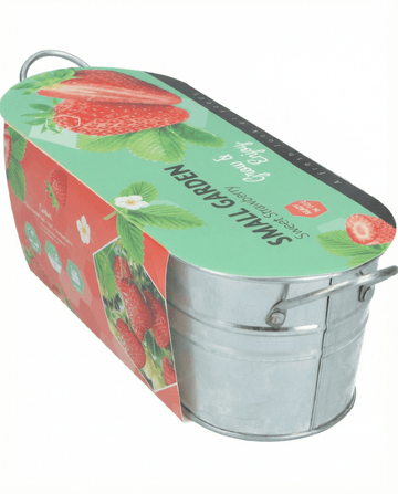Sementes de Morangueiro Pendente (Fragaria ananassa) – perene