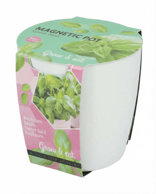 Kit de Cultivo Manjericão, Cebolinho e Salsa (Ocimum basilicum) – sementes de SeedsChoice