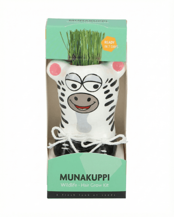 Lolium multiflorum – Grass Zebra coltivato da seme