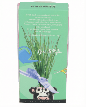 Italian Ryegrass Grass Pasture seeds – grow kit from SeedsChoice