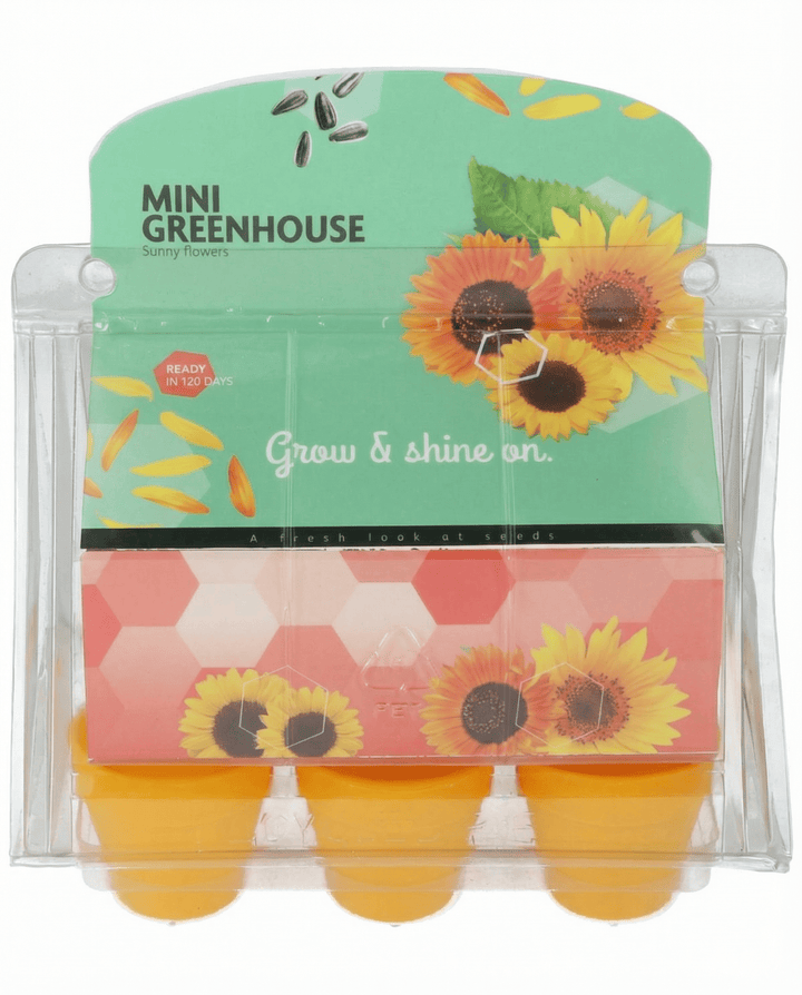 Sunflower Mini Greenhouse Pot seeds (Helianthus annuus) – grow kit