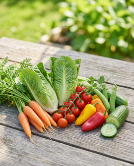 Coleção de sementes de hortícolas anuais para varanda e terraço – pack com 6 variedades