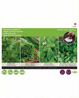 Herb Seed Mats Petroselinum Crispum 4 Pack 20x20 Cm