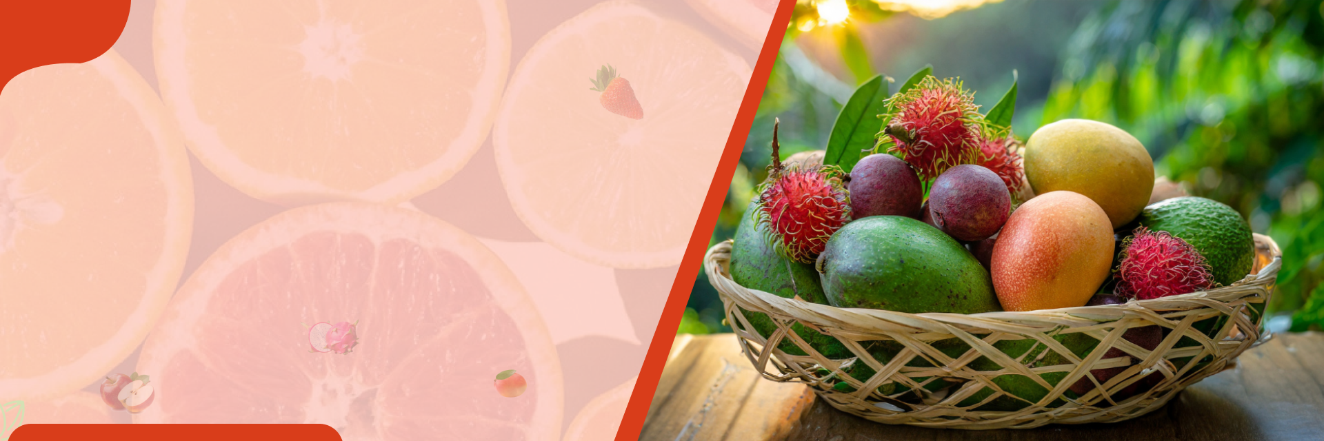 Frugter – banner hos SeedsChoice