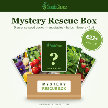 SeedsChoice Mystery Box — taħlita ta' sorpriża ta' żrieragħ tal-ħaxix, ħwawar, fjuri u frott